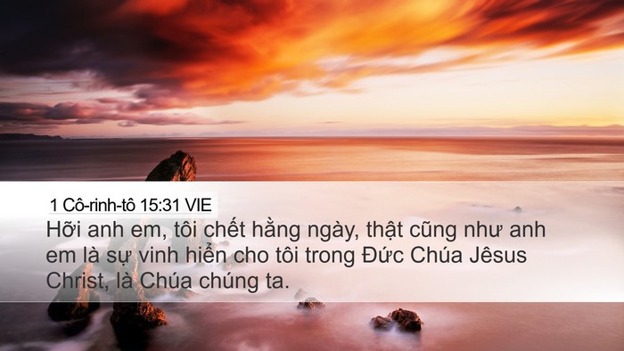 1 Cô-rinh-tô 15:31 VIE Bible Verse Image