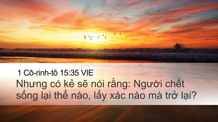 1 Cô-rinh-tô 15:35 VIE Bible Verse Image