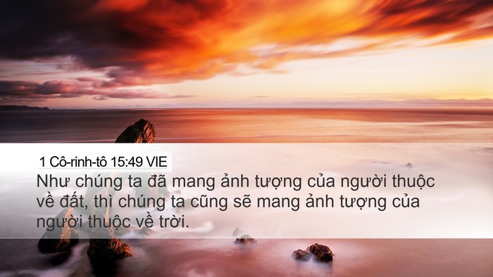 1 Cô-rinh-tô 15:49 VIE Bible Verse Image