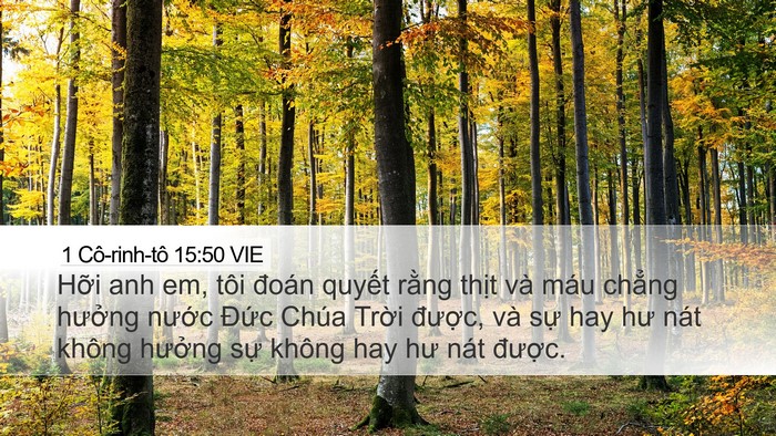 1 Cô-rinh-tô 15:50 VIE Bible Verse Image