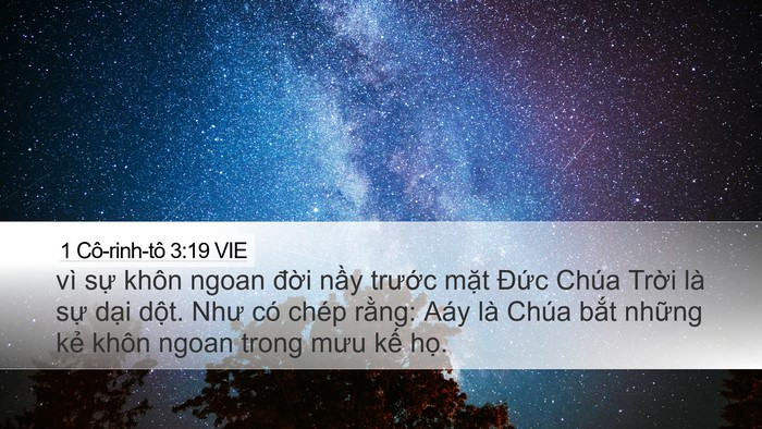 1 Cô-rinh-tô 3:19 VIE Bible Verse Image