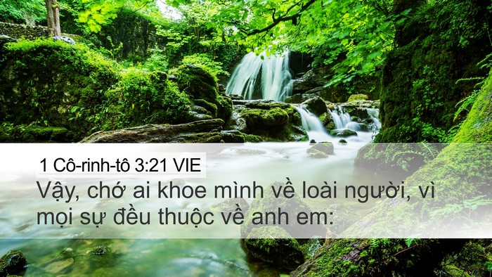1 Cô-rinh-tô 3:21 VIE Bible Verse Image