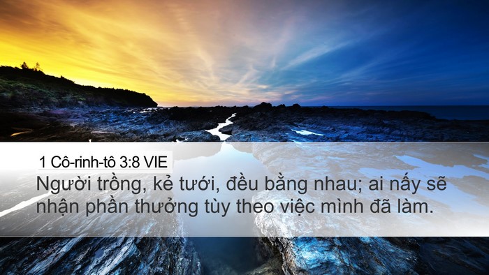1 Cô-rinh-tô 3:8 VIE Bible Verse Image