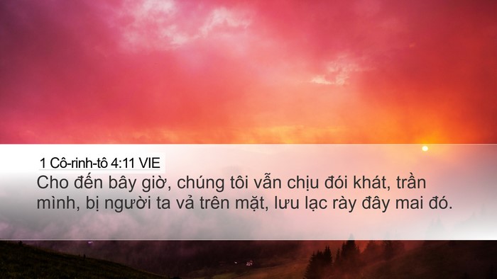 1 Cô-rinh-tô 4:11 VIE Bible Verse Image