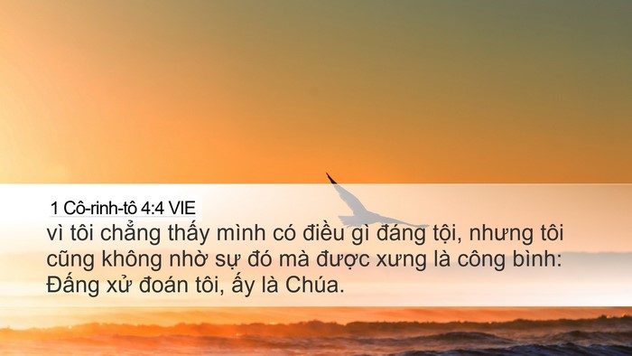 1 Cô-rinh-tô 4:4 VIE Bible Verse Image