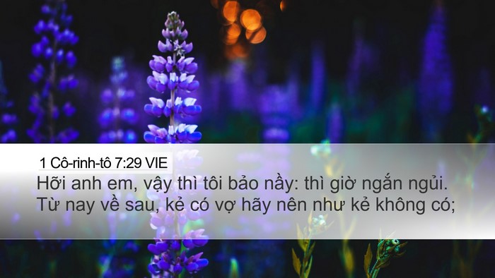 1 Cô-rinh-tô 7:29 VIE Bible Verse Image
