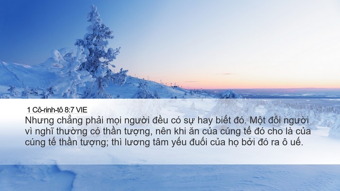 1 Cô-rinh-tô 8:7 VIE Bible Verse Image
