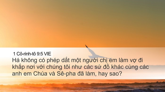 1 Cô-rinh-tô 9:5 VIE Bible Verse Image