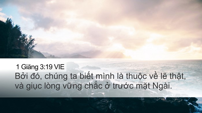 1 Giăng 3:19 VIE Bible Verse Image