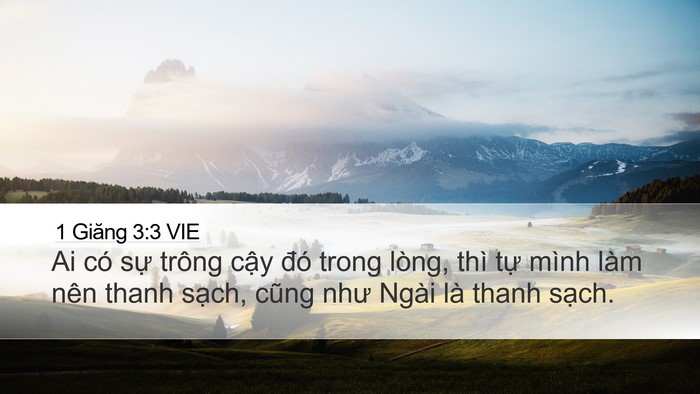 1 Giăng 3:3 VIE Bible Verse Image