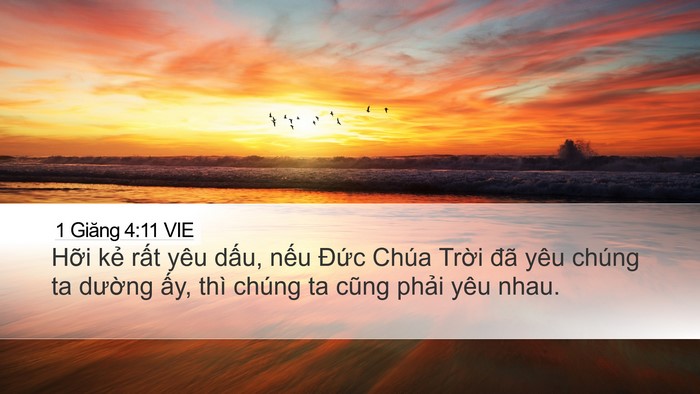 1 Giăng 4:11 VIE Bible Verse Image