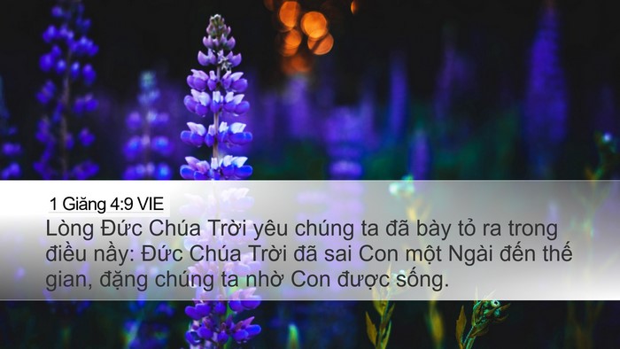 1 Giăng 4:9 VIE Bible Verse Image