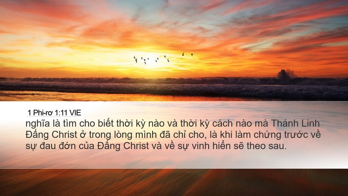 1 Phi-rơ 1:11 VIE Desktop Wallpaper - nghĩa là tìm cho biết thời kỳ nào và - Desktop Bible Verse Wallpaper