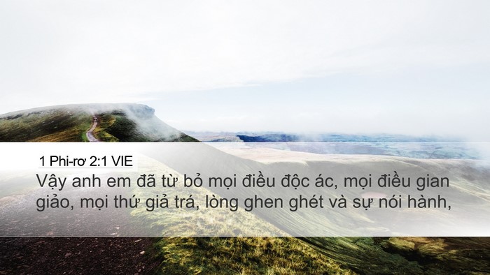 1 Phi-rơ 2:1 VIE Desktop Wallpaper - Vậy anh em đã từ bỏ mọi điều độc - Desktop Bible Verse Wallpaper