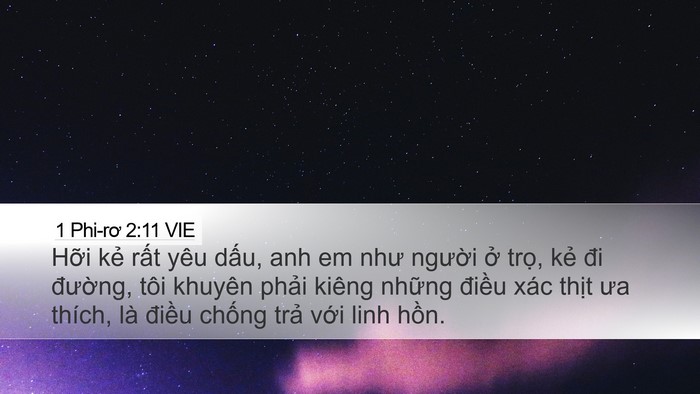 1 Phi-rơ 2:11 VIE Desktop Wallpaper - Hỡi kẻ rất yêu dấu, anh em như người - Desktop Bible Verse Wallpaper