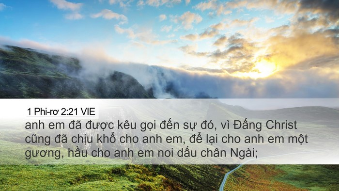 1 Phi-rơ 2:21 VIE Bible Verse Image