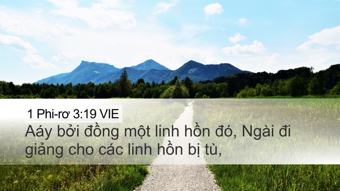 1 Phi-rơ 3:19 VIE Bible Verse Image