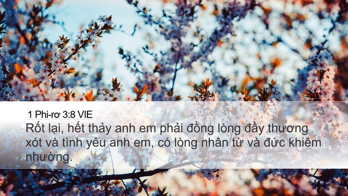 1 Phi-rơ 3:8 VIE Bible Verse Image