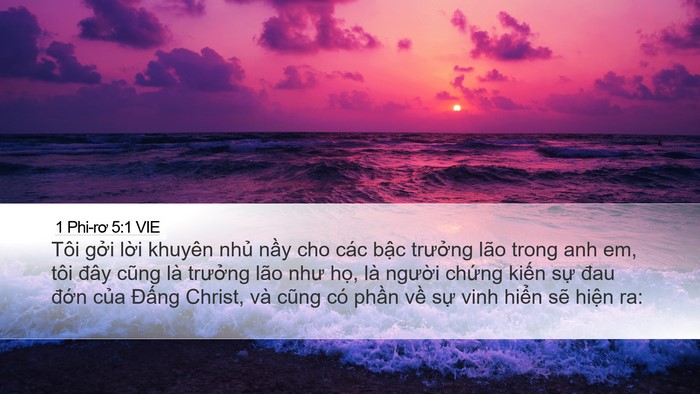 1 Phi-rơ 5:1 VIE Bible Verse Image