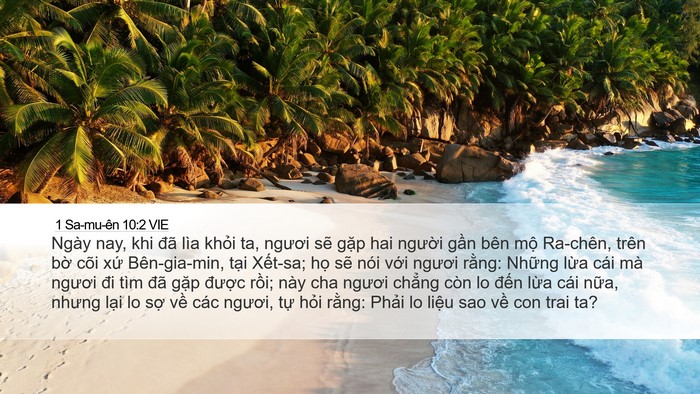 1 Sa-mu-ên 10:2 VIE Bible Verse Image