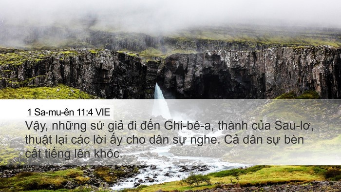 1 Sa-mu-ên 11:4 VIE Bible Verse Image