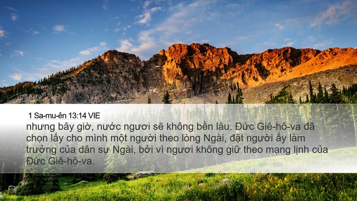 1 Sa-mu-ên 13:14 VIE Bible Verse Image