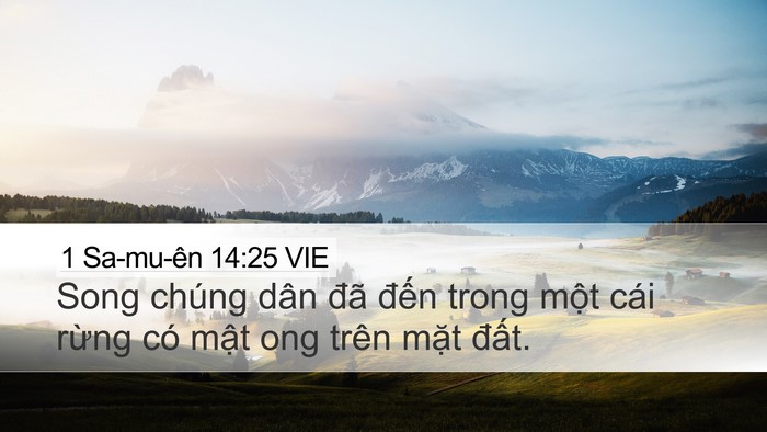 1 Sa-mu-ên 14:25 VIE Bible Verse Image