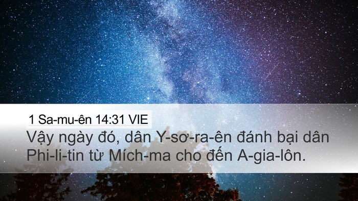 1 Sa-mu-ên 14:31 VIE Bible Verse Image