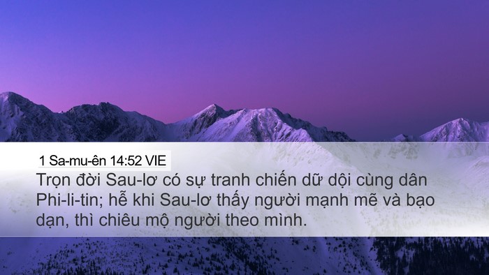 1 Sa-mu-ên 14:52 VIE Bible Verse Image