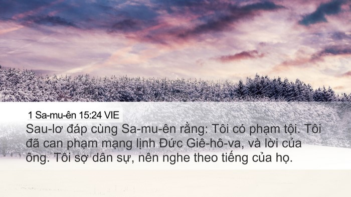 1 Sa-mu-ên 15:24 VIE Bible Verse Image