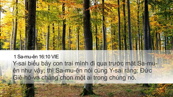 1 Sa-mu-ên 16:10 VIE Desktop Wallpaper - Y-sai biểu bảy con trai mình đi qua - Desktop Bible Verse Wallpaper