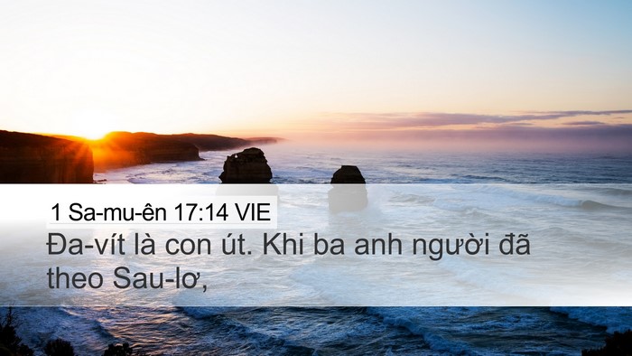 1 Sa-mu-ên 17:14 VIE Desktop Wallpaper - Đa-vít là con út. Khi ba anh người đã - Desktop Bible Verse Wallpaper