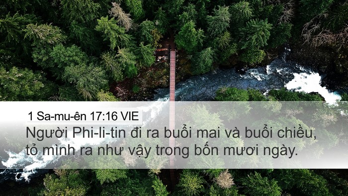 1 Sa-mu-ên 17:16 VIE Desktop Wallpaper - Người Phi-li-tin đi ra buổi mai và buổi - Desktop Bible Verse Wallpaper