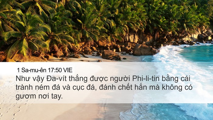 1 Sa-mu-ên 17:50 VIE Bible Verse Image