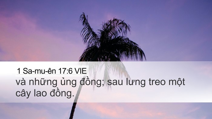 1 Sa-mu-ên 17:6 VIE Bible Verse Image