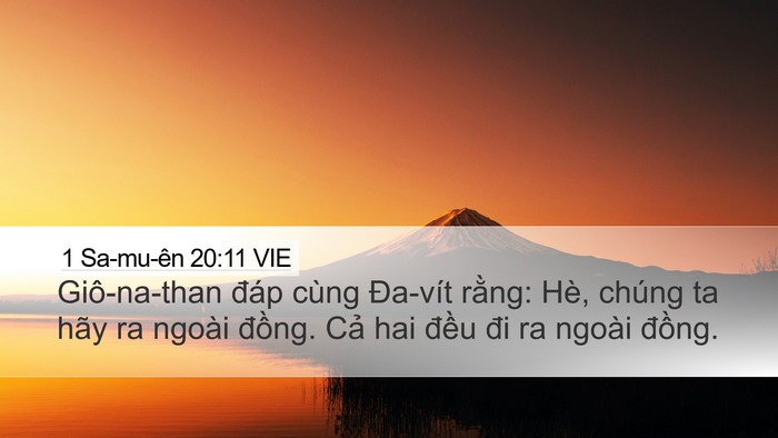 1 Sa-mu-ên 20:11 VIE Desktop Wallpaper - Giô-na-than đáp cùng Đa-vít rằng: Hè, - Desktop Bible Verse Wallpaper