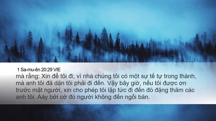 1 Sa-mu-ên 20:29 VIE Bible Verse Image