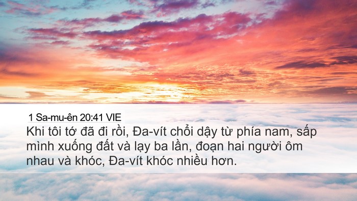 1 Sa-mu-ên 20:41 VIE Bible Verse Image