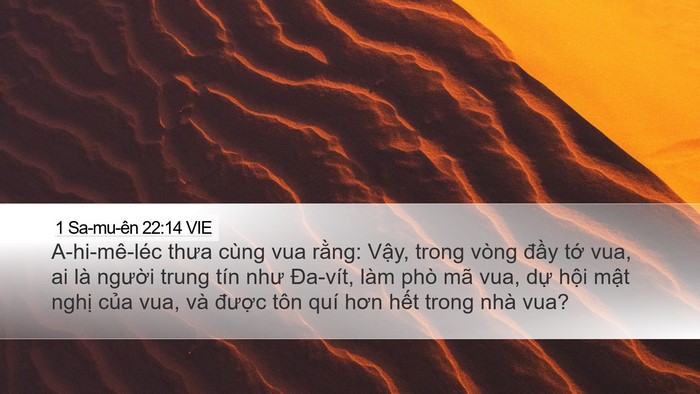 1 Sa-mu-ên 22:14 VIE Bible Verse Image