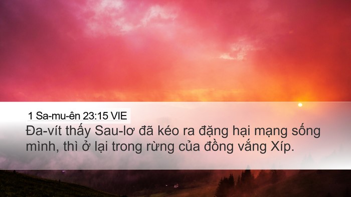 1 Sa-mu-ên 23:15 VIE Bible Verse Image