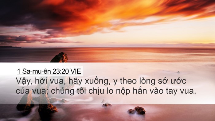 1 Sa-mu-ên 23:20 VIE Bible Verse Image