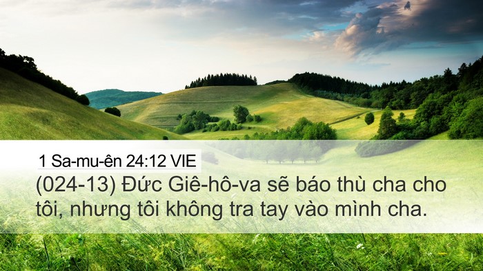 1 Sa-mu-ên 24:12 VIE Bible Verse Image