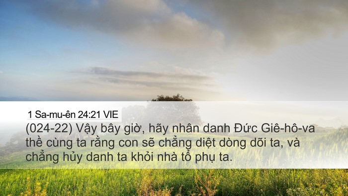 1 Sa-mu-ên 24:21 VIE Desktop Wallpaper - (024-22) Vậy bây giờ, hãy nhân danh Đức - Desktop Bible Verse Wallpaper