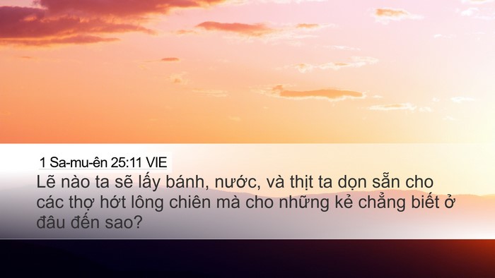 1 Sa-mu-ên 25:11 VIE Bible Verse Image