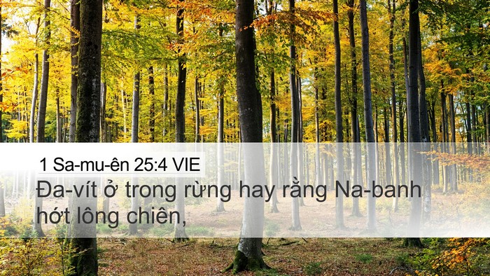 1 Sa-mu-ên 25:4 VIE Bible Verse Image