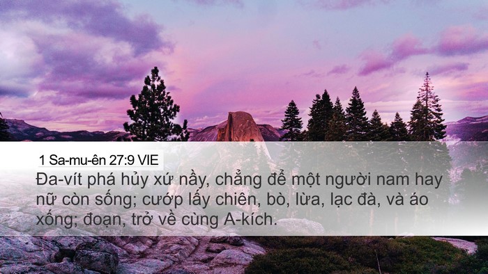 1 Sa-mu-ên 27:9 VIE Bible Verse Image