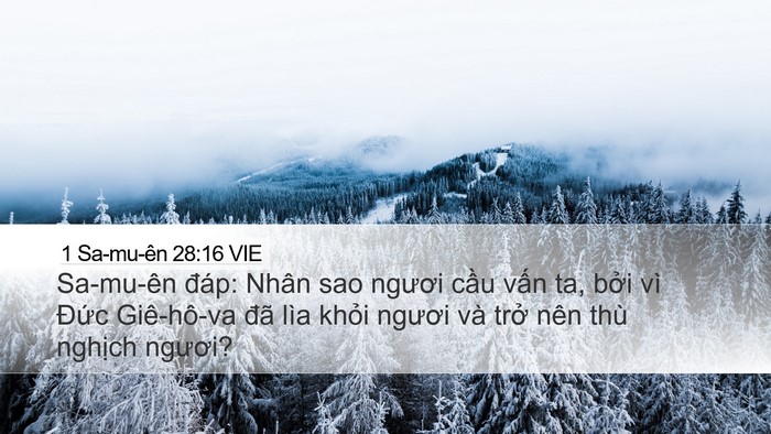 1 Sa-mu-ên 28:16 VIE Desktop Wallpaper - Sa-mu-ên đáp: Nhân sao ngươi cầu vấn - Desktop Bible Verse Wallpaper