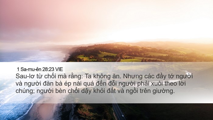 1 Sa-mu-ên 28:23 VIE Bible Verse Image