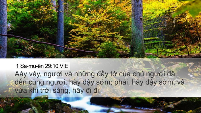 1 Sa-mu-ên 29:10 VIE Desktop Wallpaper - Aáy vậy, ngươi và những đầy tớ của - Desktop Bible Verse Wallpaper
