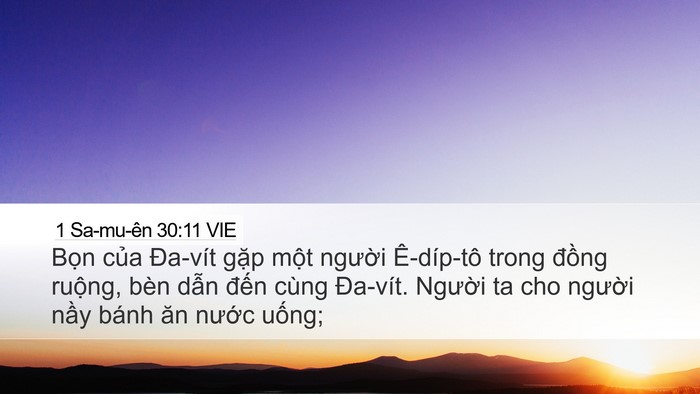 1 Sa-mu-ên 30:11 VIE Bible Verse Image